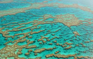 Cairns_Great Barrier Reef_(c)_Beatriz Queiroz