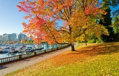 Cruise to Vancouver in Autumn